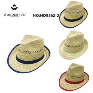 Borsalino HD9362-2